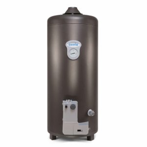 TERMOTANQUE 80LTS GEISER GRIS GRAFITO GAS CARGA SUPERIOR